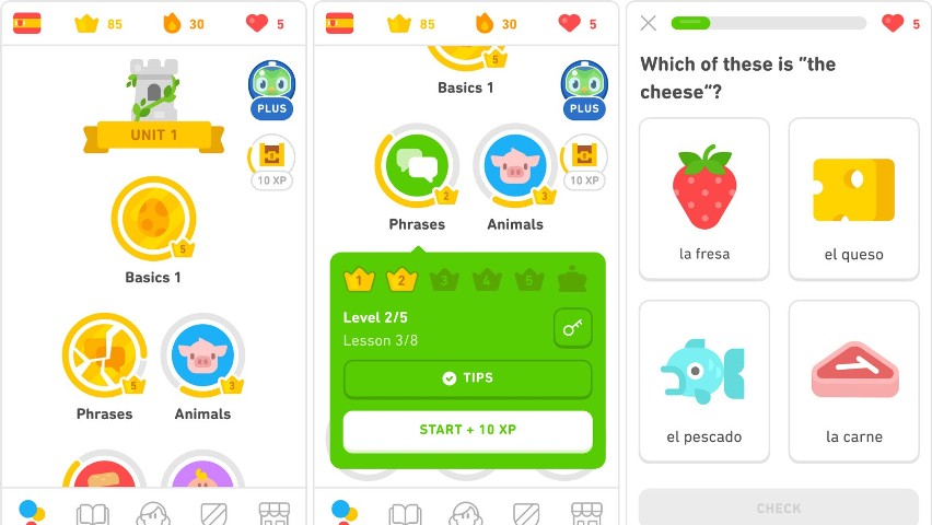 Duolingo nauka języków